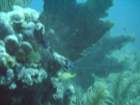 sea157_small.jpg
