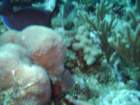 sea162_small.jpg