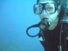 sea167_small.jpg