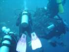 sea168_small.jpg
