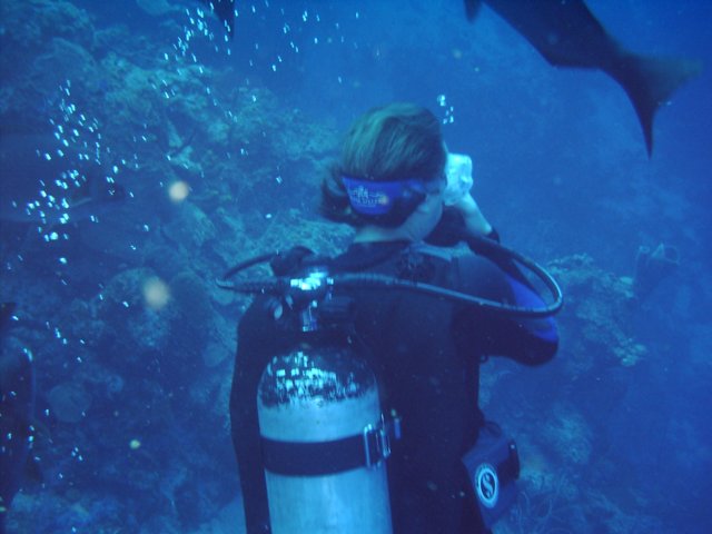 sea171.jpg
