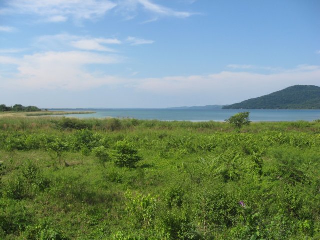 tikal19.jpg