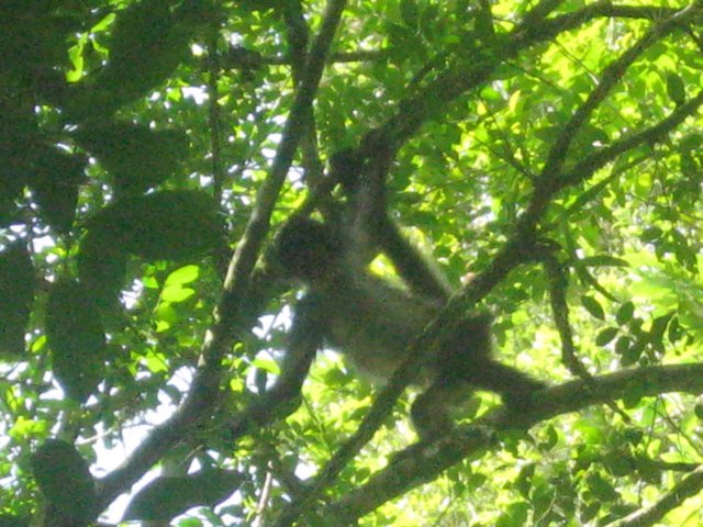 tikal27.jpg