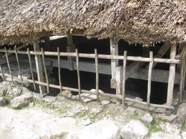 tikal55.jpg