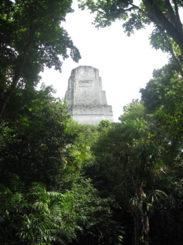 tikal66.jpg