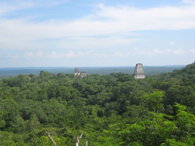 tikal73.jpg