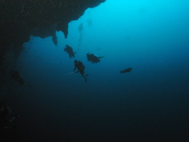 diveshop51.jpg