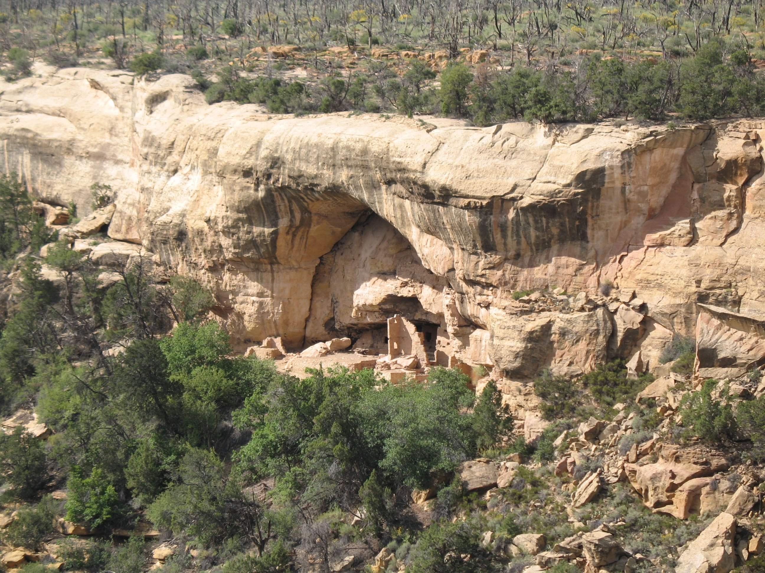 mesaverde063.jpg