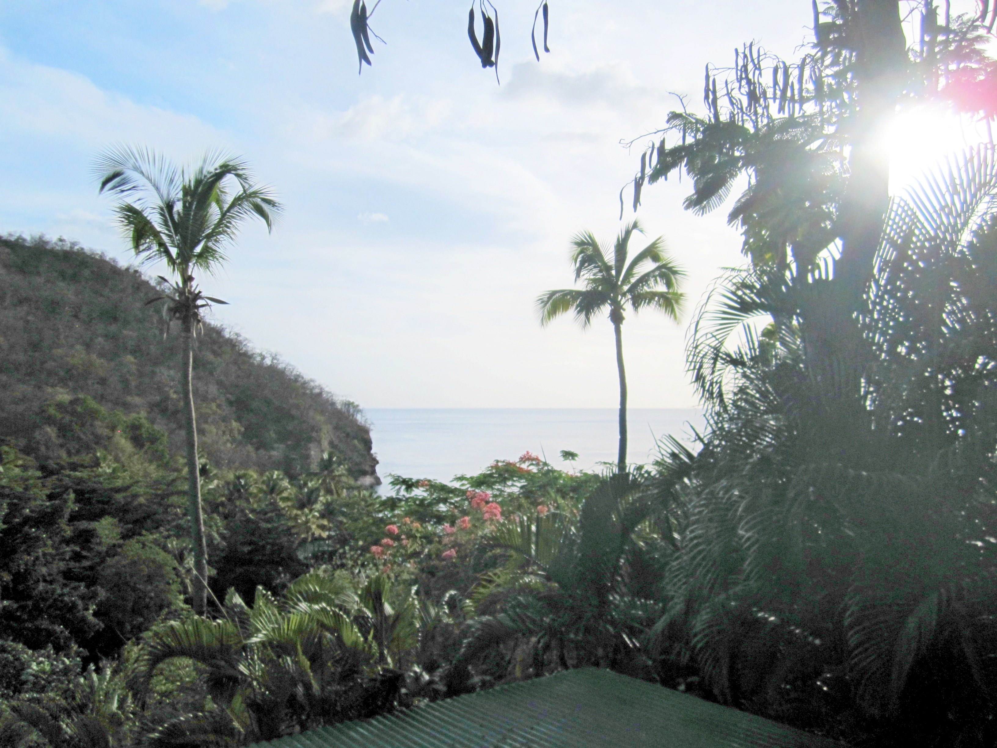 stlucia006.jpg