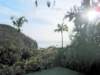 stlucia006_small.jpg