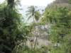 stlucia013_small.jpg