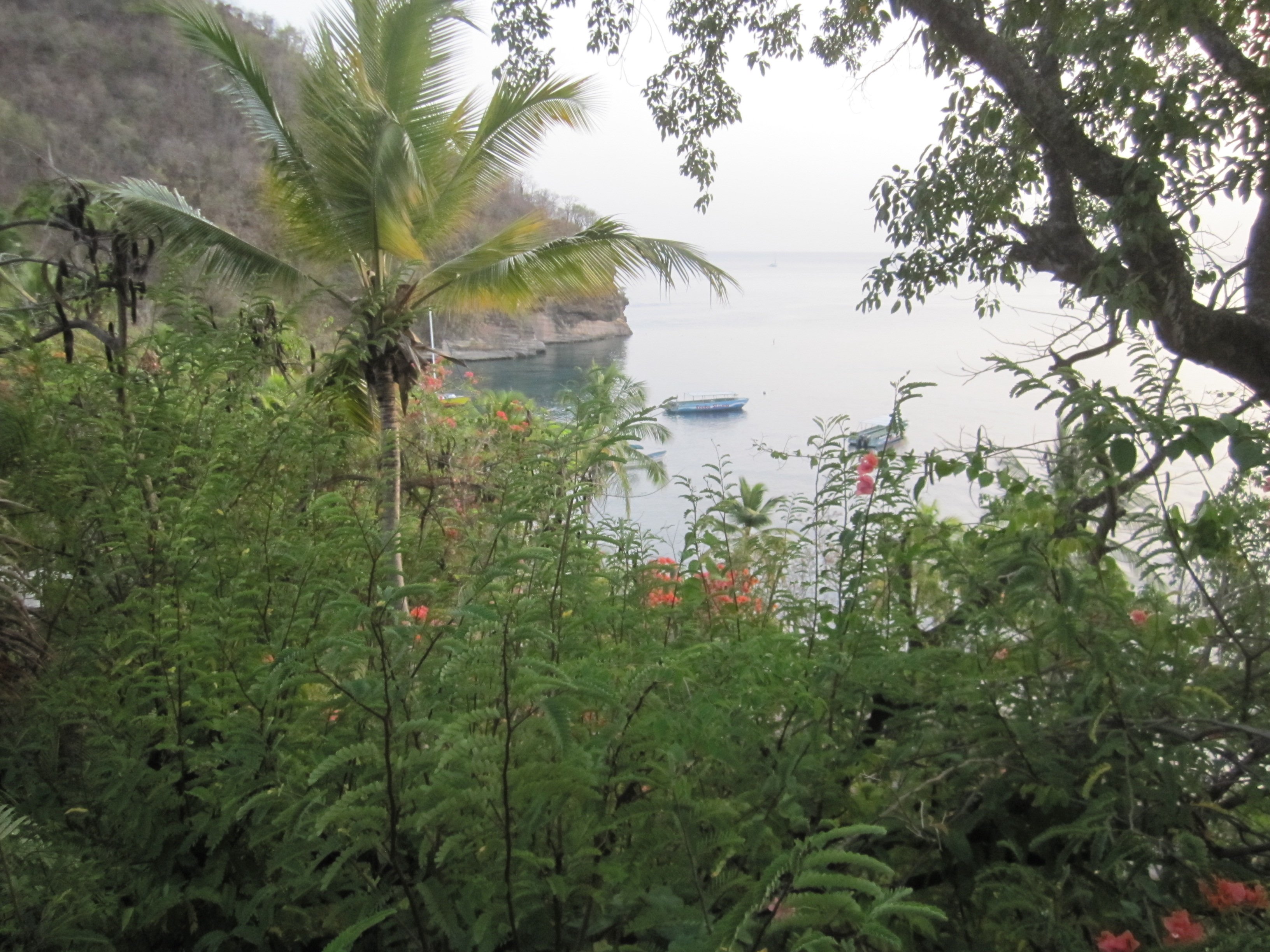 stlucia022.jpg