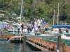 stlucia040_small.jpg