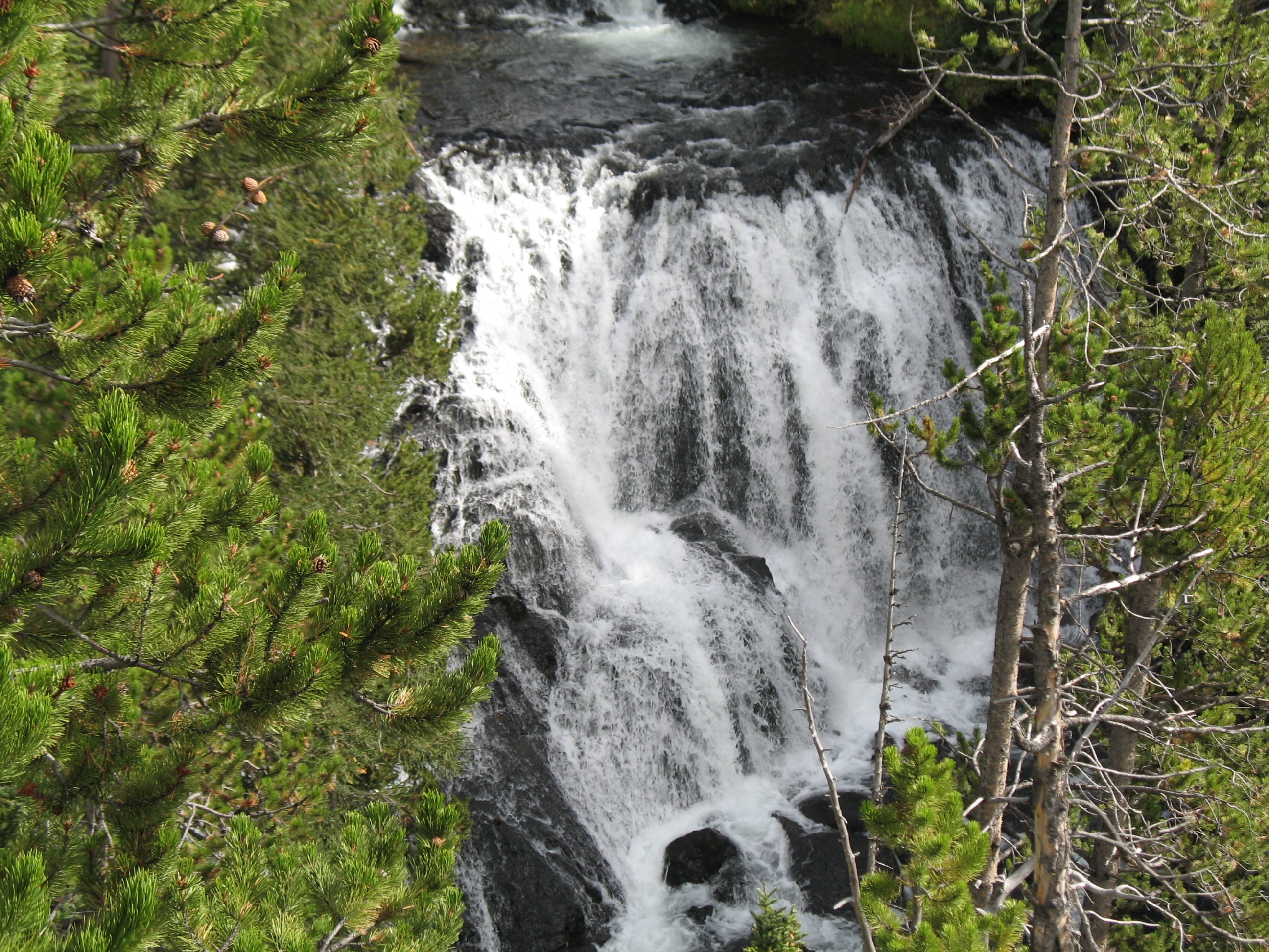 yellowstone011.jpg