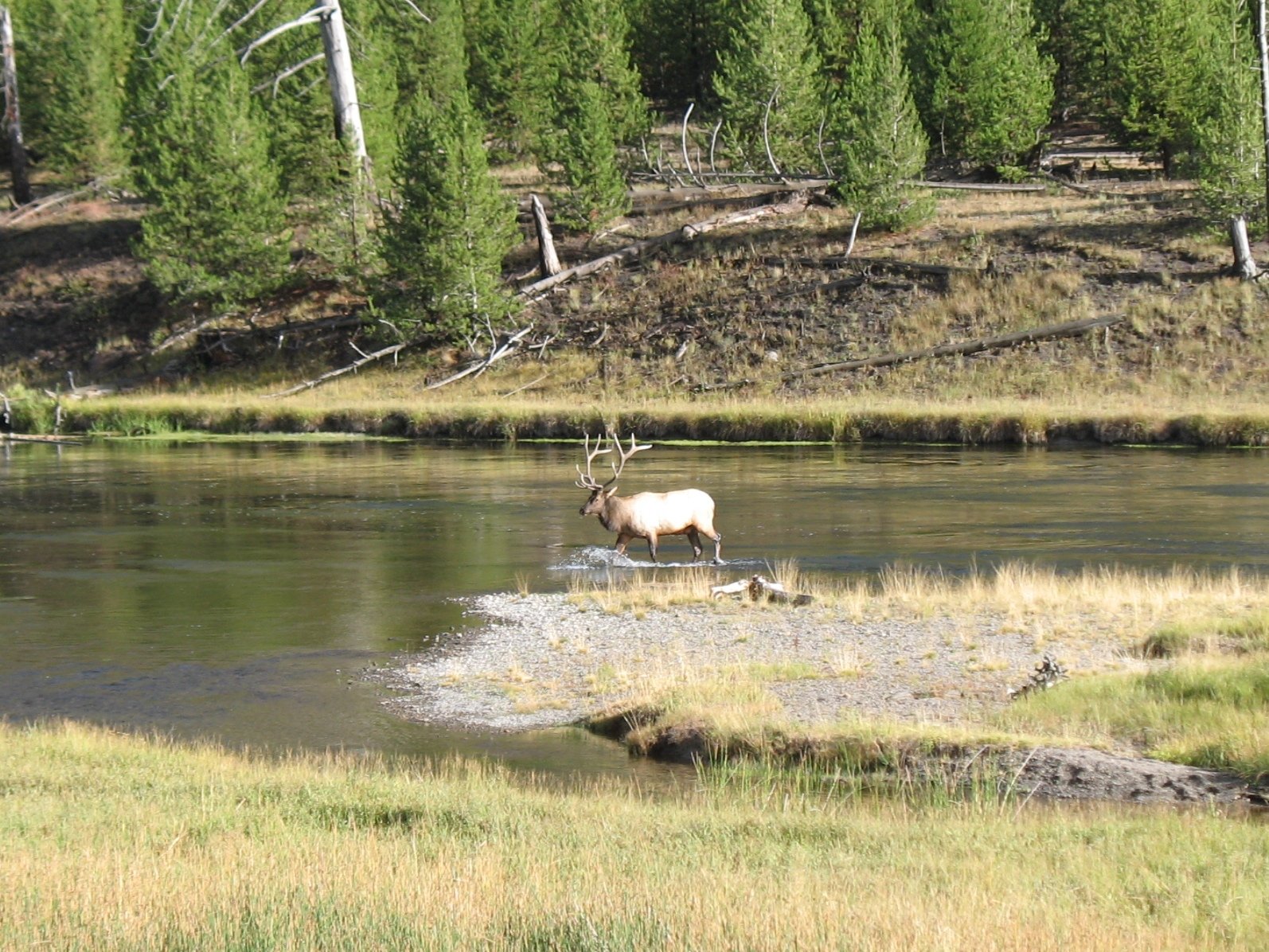 yellowstone024.jpg