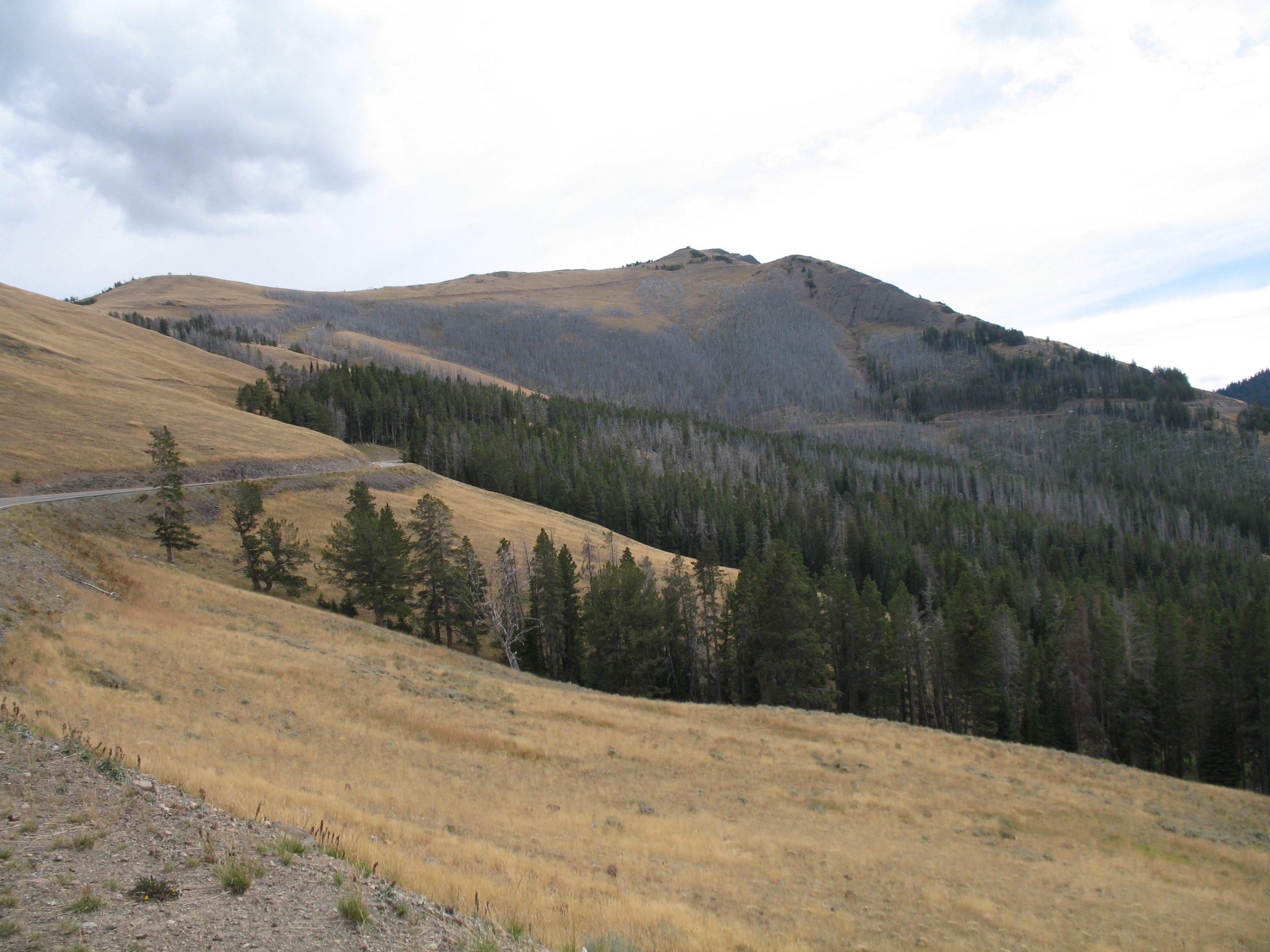 yellowstone084.jpg